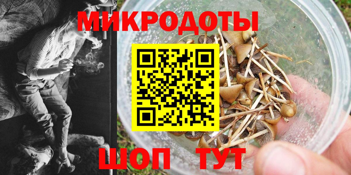Рославль  Галлюциногенные грибы Psilocybe  Вход с VPN 