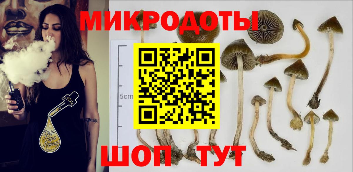 Галлюциногенные грибы прущие грибы Рославль
